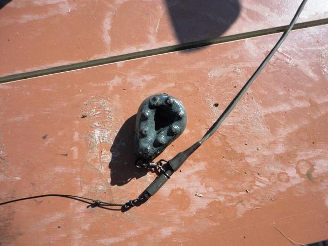 delta rosu 2011 - dsc00878.JPG